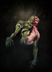 final_manimal final_manimal